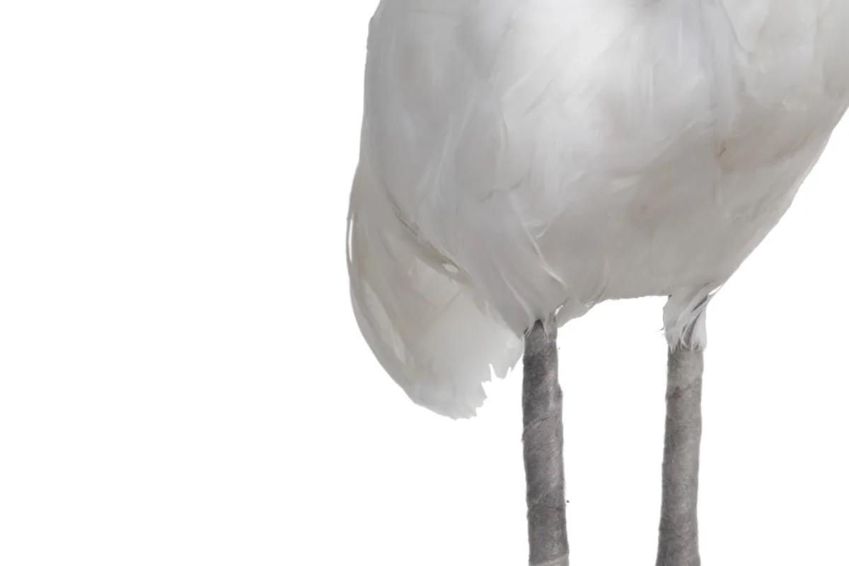 "Декоративная фигура Фламинго белая" - вид 3