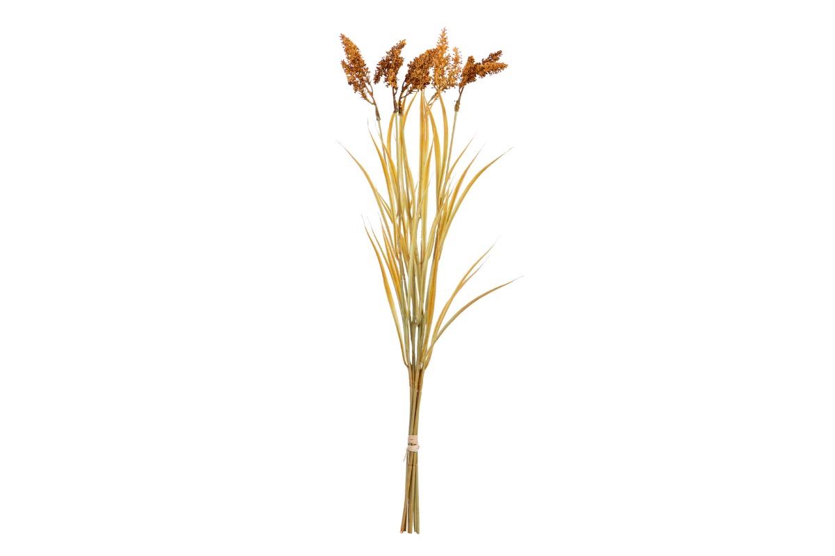 Декоративное растение желто коричневое