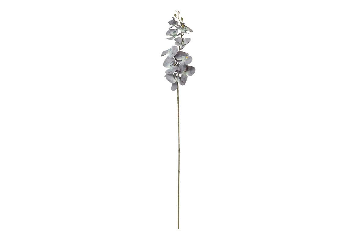 Декоративный цветок Орхидея