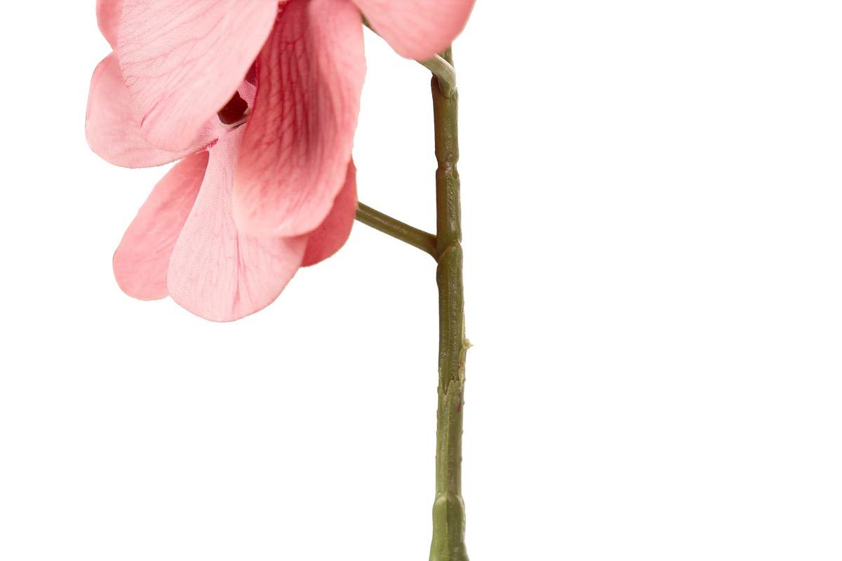 "Декоративный цветок Орхидея розовый" - вид 4